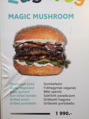 Magic mushrooms at Las Vegan's - Kazinczy Trailer in Budapest