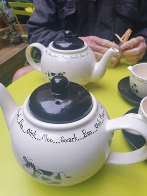 Pot of spiced apple tea at Holy Cow in Edinburgh