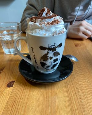   at Holy Cow in Edinburgh