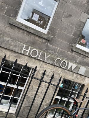   at Holy Cow in Edinburgh