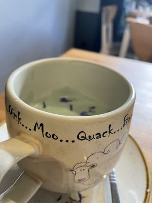 Blue matcha was our favourite   at Holy Cow in Edinburgh