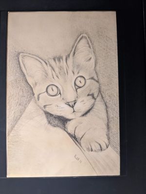  at Holy Cow in Edinburgh