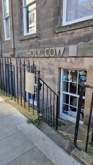  at Holy Cow in Edinburgh