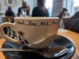  at Holy Cow in Edinburgh