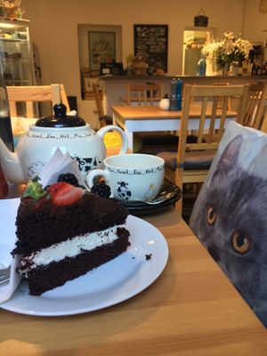 Chocolate summer fruit cake at Holy Cow in Edinburgh