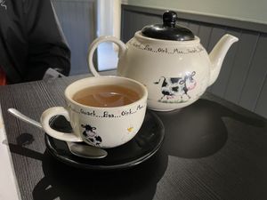   at Holy Cow in Edinburgh