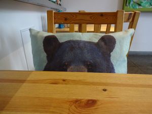 every chair has an animal pillow - so sweet!  at Holy Cow in Edinburgh