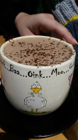 Hot chocolate  at Holy Cow in Edinburgh