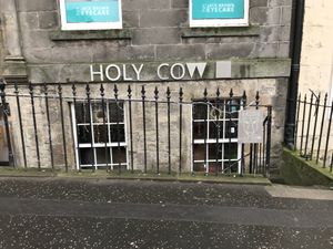 Holy Cow a vegan place in Edinburgh ! at Holy Cow in Edinburgh