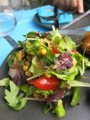 fresh salad with lime dressing at Lime Bistro in Athens