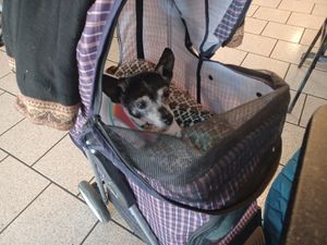 Adele approves! #Veganuary at Tumerico in Tucson