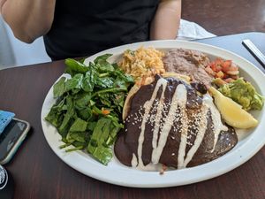Diego Rivera enchiladas. Mole sauce was delicious, but not spicy. at Tumerico in Tucson