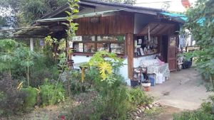 Garden and shop at The Link Food Farmacy in Pai