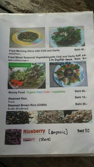 Menu page 13 at The Link Food Farmacy in Pai