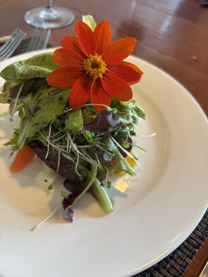 Mixed green lettuce salad. Vegan and GF!   at JO2 in Kapaa