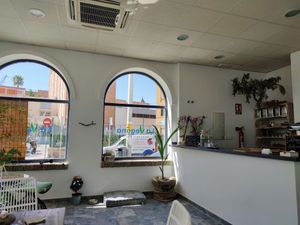 Inside at La Vegana in Sevilla