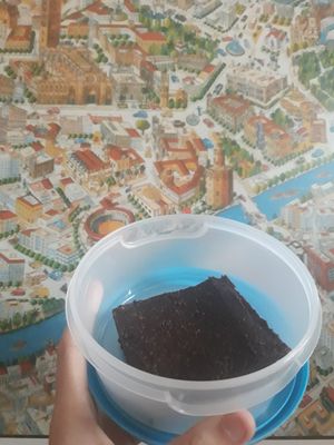 Delicious healthy vegan brownie! at La Vegana in Sevilla