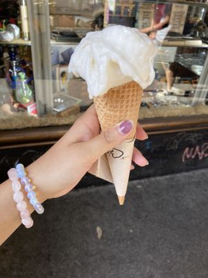 Coconut  at Creme de la Creme in Prague