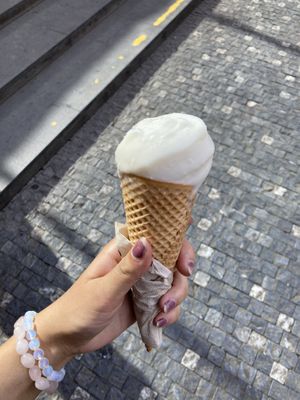 Coconut  at Creme de la Creme in Prague