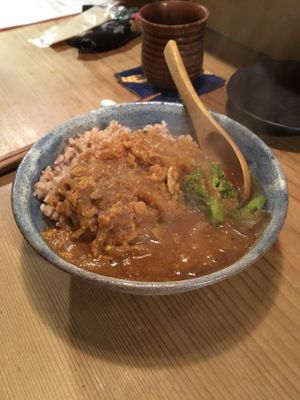 Vegan japanese curry. at Megumi in Osaka