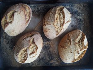 Sourdough Kamut Bread. Made with Kamut ancient grain. Vegan, Wholegrain, Organic, Sugar Free.
 at Joseph's Organic Bakery in Miami