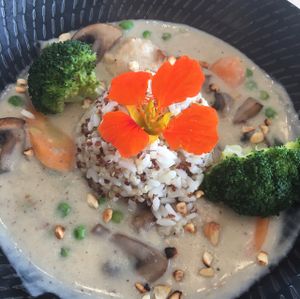 Mushroom Risotto  at The Origin in Christchurch