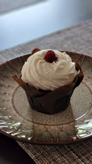 Chocolate Raspberry Champagne Cupcake at Scratch Bake Shop in Rochester