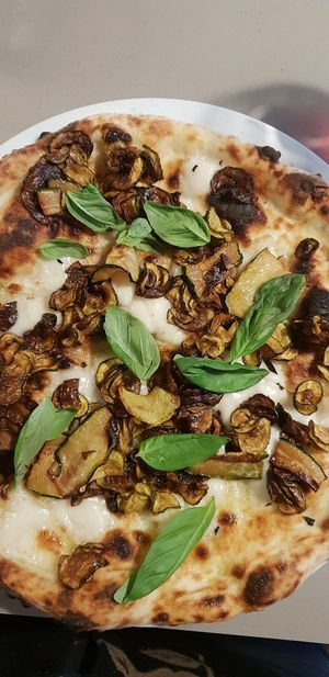 Zucchini and ball, scapece at Altro Pizza in Williamstown