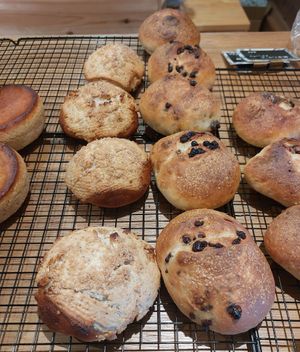 All Vegan at Apelila in Kyoto