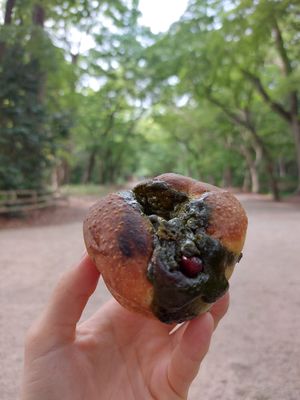 Matcha Soy filled bread at Apelila in Kyoto
