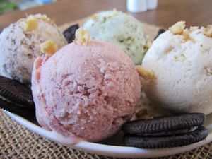 ice cream at Arvoleda in Santiago