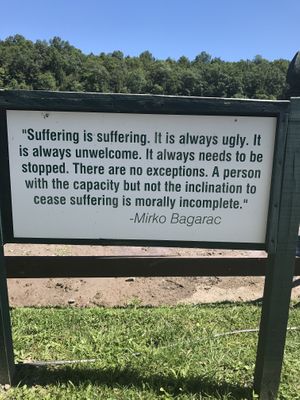 Mirko Bagarac at Catskill Animal Sanctuary in Saugerties