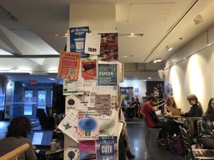 Inside cafe  at Hive Cafe in Montreal