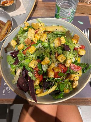  at Pappare' in Bologna