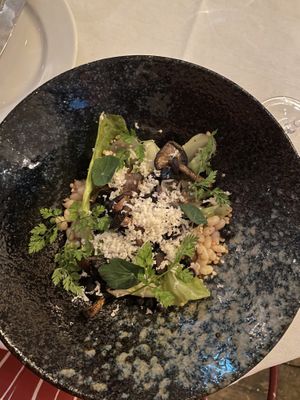   at Vaxthuset in Stockholm