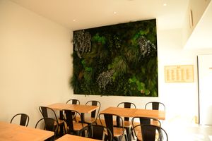 Cute wall decoration at Season Square in Paris