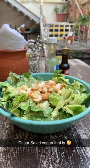 Cesar Salad  at La Rana Vegana in Cabo San Lucas