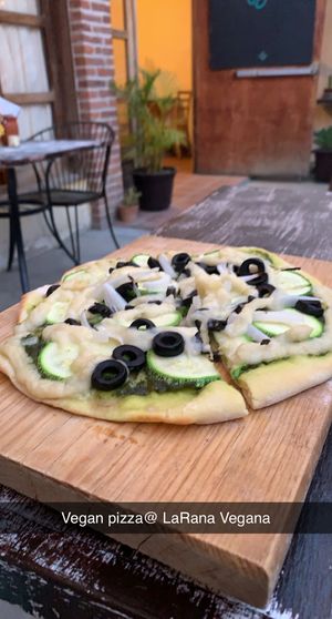 Vegano  at La Rana Vegana in Cabo San Lucas