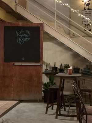 Outdoor  at La Rana Vegana in Cabo San Lucas