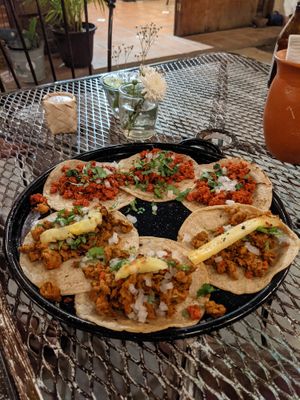 Love the tacos! at La Rana Vegana in Cabo San Lucas