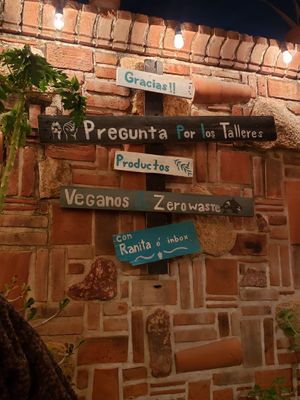  at La Rana Vegana in Cabo San Lucas