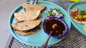  at La Rana Vegana in Cabo San Lucas
