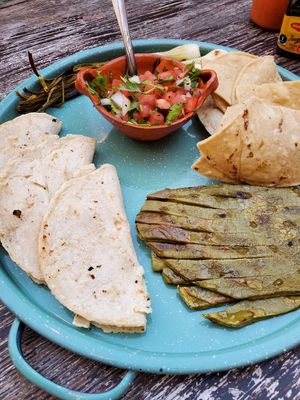 Mini Quesadilla Platter - Yum! at La Rana Vegana in Cabo San Lucas