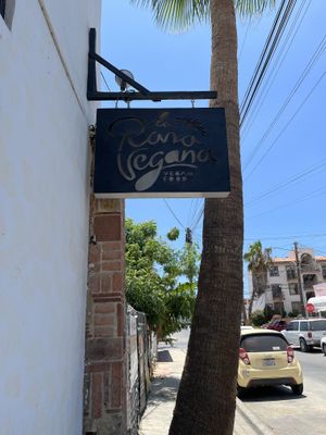   at La Rana Vegana in Cabo San Lucas