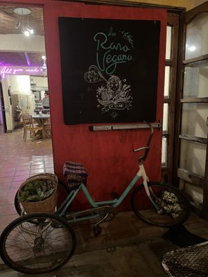   at La Rana Vegana in Cabo San Lucas