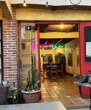   at La Rana Vegana in Cabo San Lucas