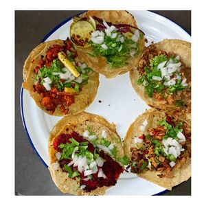 Taco Varieties at La Rana Vegana in Cabo San Lucas