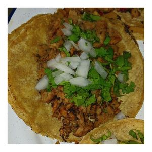 Taco de Asada at La Rana Vegana in Cabo San Lucas