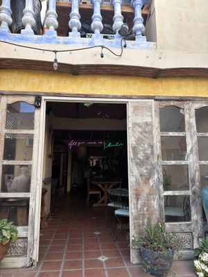 View from patio   at La Rana Vegana in Cabo San Lucas