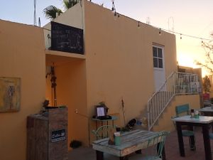 View from my table at La Rana Vegana in Cabo San Lucas